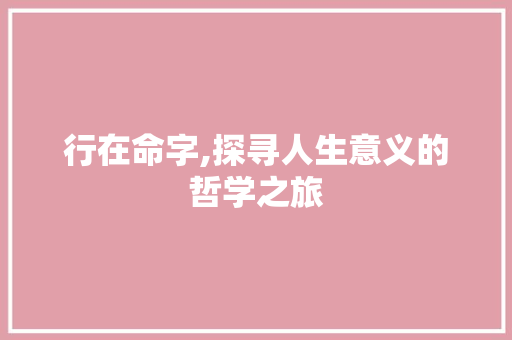 行在命字,探寻人生意义的哲学之旅
