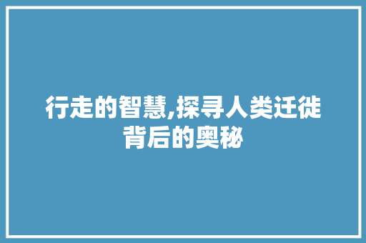 行走的智慧,探寻人类迁徙背后的奥秘