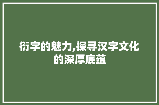 衍字的魅力,探寻汉字文化的深厚底蕴