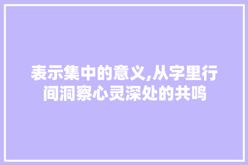 表示集中的意义,从字里行间洞察心灵深处的共鸣