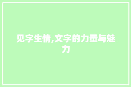 见字生情,文字的力量与魅力