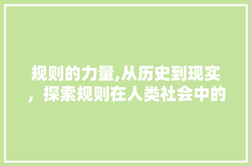 规则的力量,从历史到现实，探索规则在人类社会中的作用