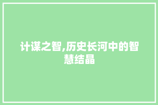 计谋之智,历史长河中的智慧结晶