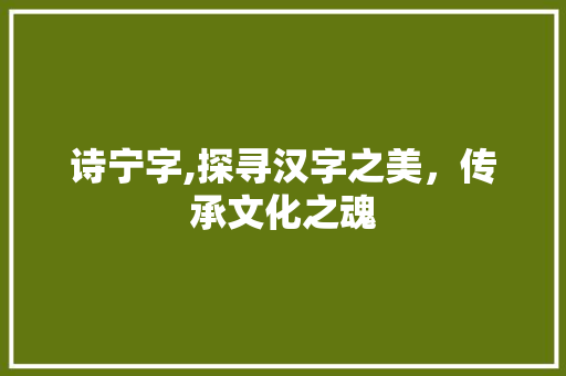 诗宁字,探寻汉字之美，传承文化之魂