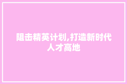 阻击精英计划,打造新时代人才高地