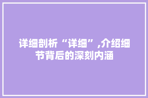 详细剖析“详细”,介绍细节背后的深刻内涵