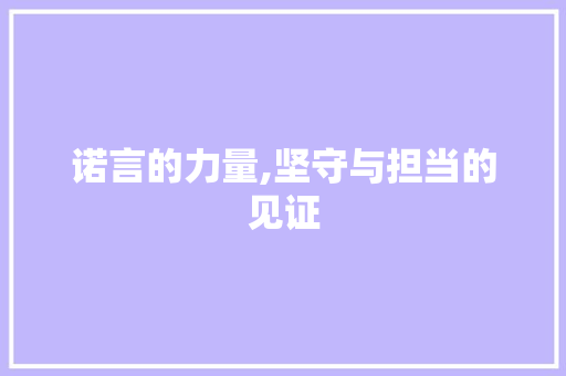 诺言的力量,坚守与担当的见证