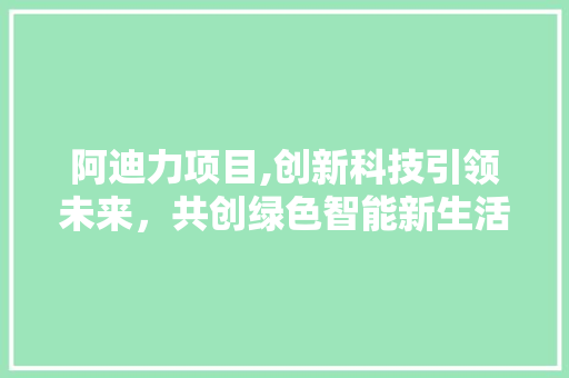 阿迪力项目,创新科技引领未来，共创绿色智能新生活