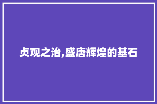 贞观之治,盛唐辉煌的基石