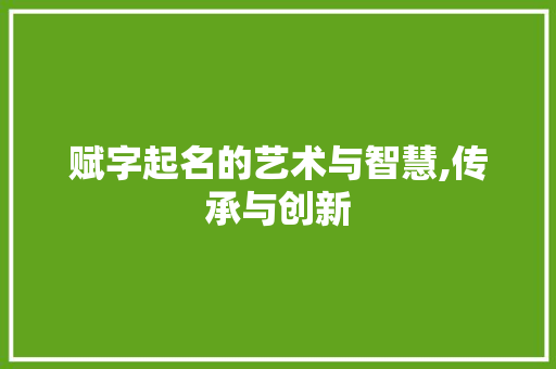 赋字起名的艺术与智慧,传承与创新