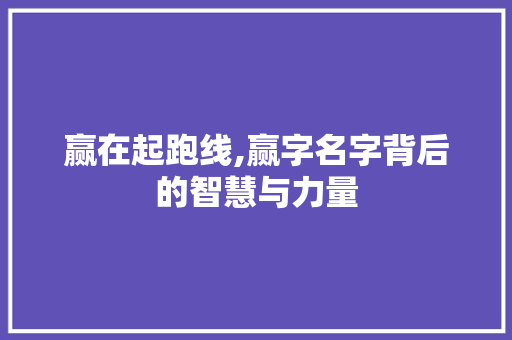 赢在起跑线,赢字名字背后的智慧与力量