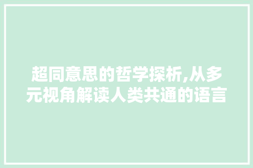 超同意思的哲学探析,从多元视角解读人类共通的语言