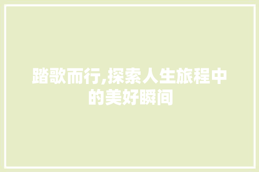 踏歌而行,探索人生旅程中的美好瞬间
