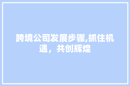跨境公司发展步骤,抓住机遇，共创辉煌
