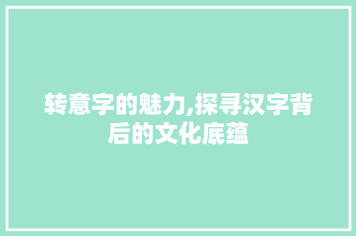 转意字的魅力,探寻汉字背后的文化底蕴