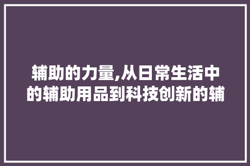 辅助的力量,从日常生活中的辅助用品到科技创新的辅助系统