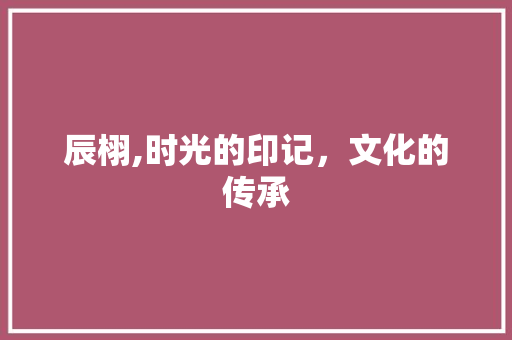 辰栩,时光的印记，文化的传承