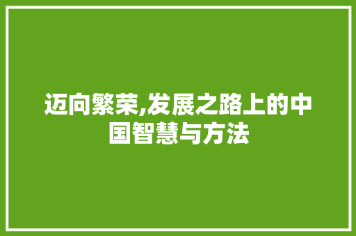 迈向繁荣,发展之路上的中国智慧与方法