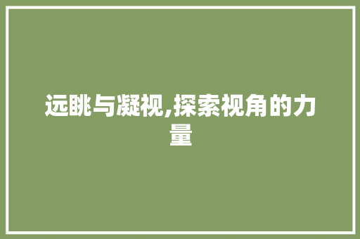 远眺与凝视,探索视角的力量