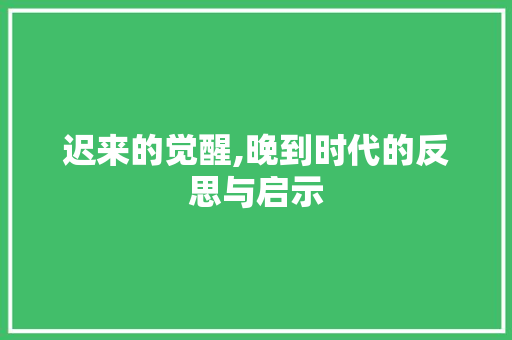 迟来的觉醒,晚到时代的反思与启示