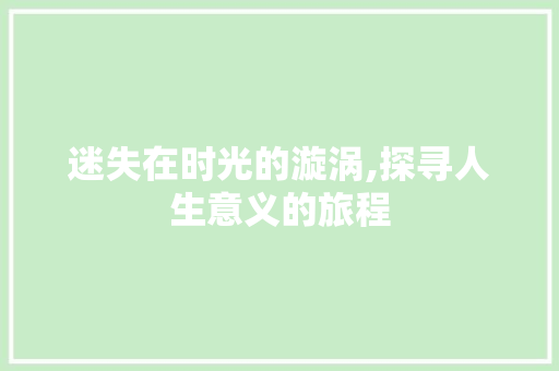 迷失在时光的漩涡,探寻人生意义的旅程 问答