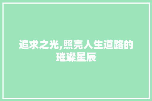 追求之光,照亮人生道路的璀璨星辰