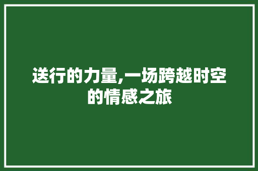 送行的力量,一场跨越时空的情感之旅