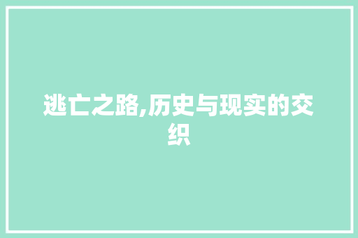 逃亡之路,历史与现实的交织