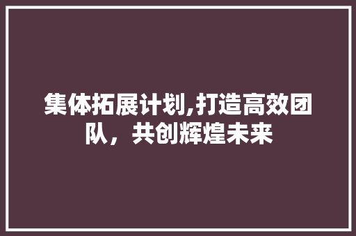 集体拓展计划,打造高效团队，共创辉煌未来