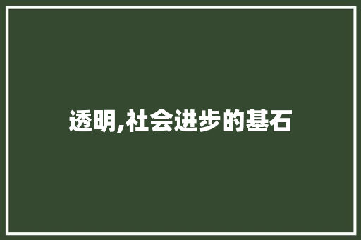 透明,社会进步的基石