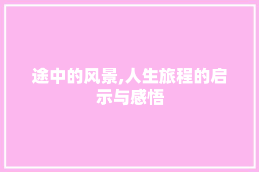 途中的风景,人生旅程的启示与感悟