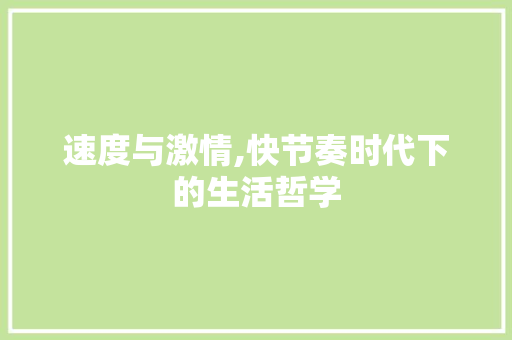 速度与激情,快节奏时代下的生活哲学