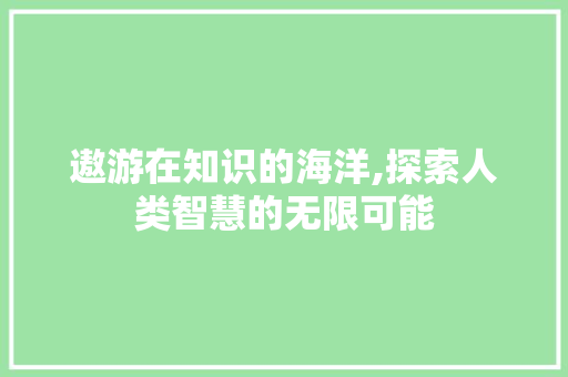 遨游在知识的海洋,探索人类智慧的无限可能
