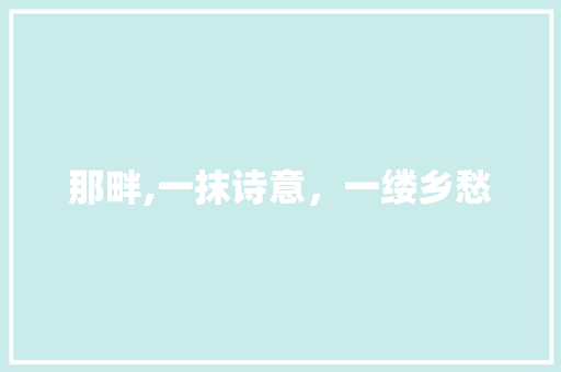 那畔,一抹诗意，一缕乡愁