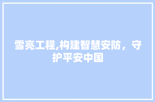 雪亮工程,构建智慧安防，守护平安中国