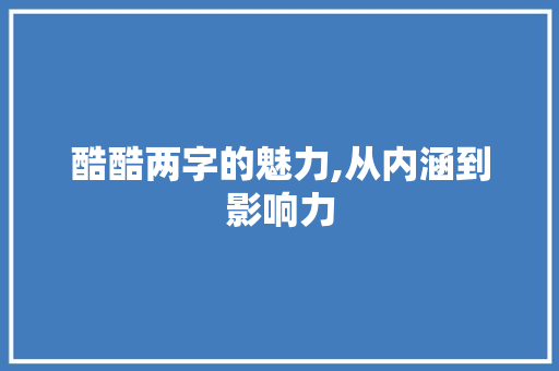 酷酷两字的魅力,从内涵到影响力
