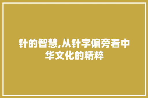 针的智慧,从针字偏旁看中华文化的精粹