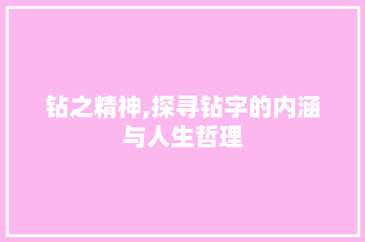 钻之精神,探寻钻字的内涵与人生哲理