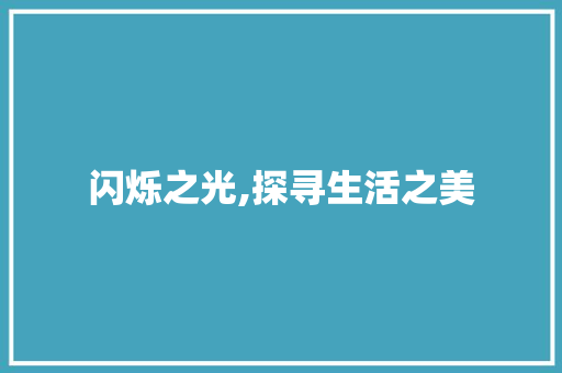 闪烁之光,探寻生活之美 短语