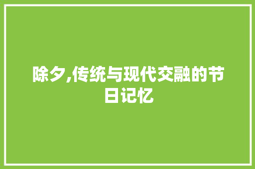 除夕,传统与现代交融的节日记忆