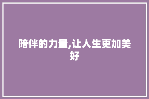 陪伴的力量,让人生更加美好