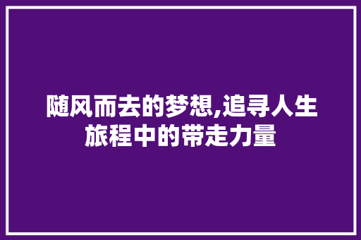 随风而去的梦想,追寻人生旅程中的带走力量