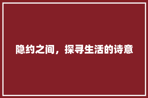 隐约之间，探寻生活的诗意