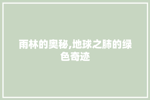 雨林的奥秘,地球之肺的绿色奇迹