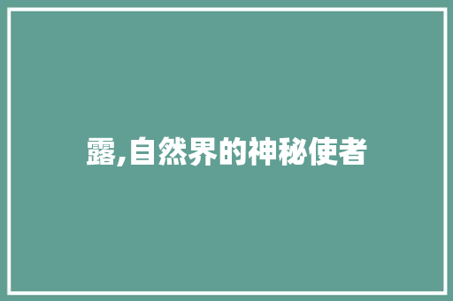 露,自然界的神秘使者 英语单词