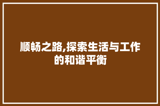 顺畅之路,探索生活与工作的和谐平衡