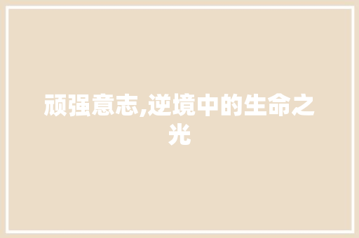 顽强意志,逆境中的生命之光