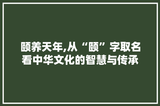 颐养天年,从“颐”字取名看中华文化的智慧与传承