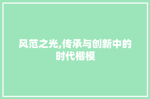 风范之光,传承与创新中的时代楷模