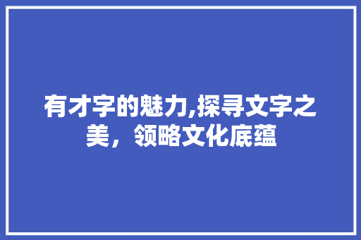 有才字的魅力,探寻文字之美，领略文化底蕴